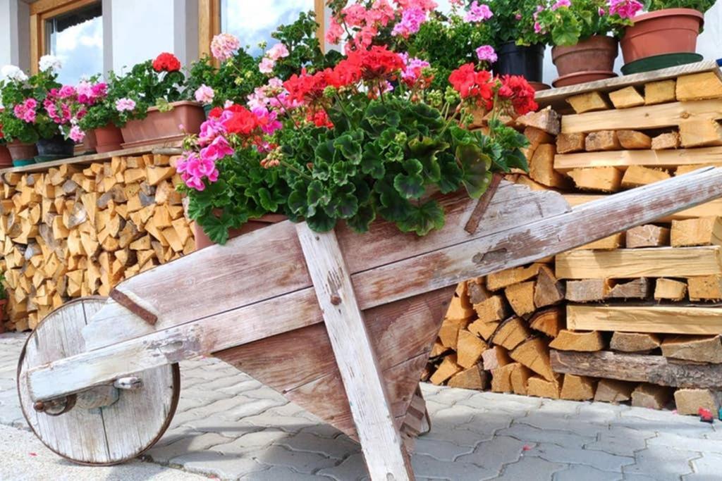 La Majon Daire Colle Santa Lucia Dış mekan fotoğraf