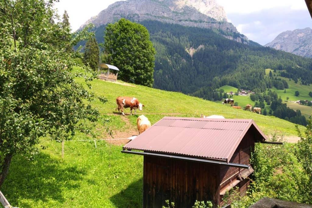 La Majon Daire Colle Santa Lucia Dış mekan fotoğraf