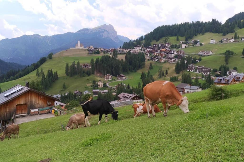 La Majon Daire Colle Santa Lucia Dış mekan fotoğraf