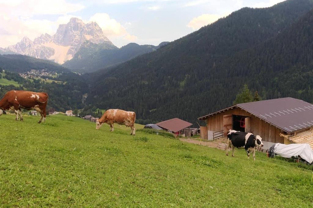 La Majon Daire Colle Santa Lucia Dış mekan fotoğraf